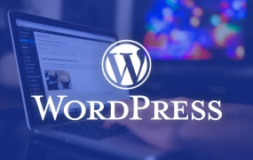 什么是WordPress？了解WordPress入门